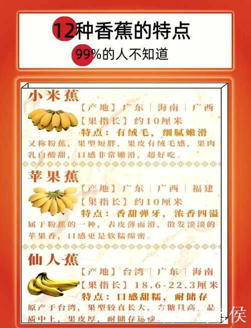 深度解析香蕉在线视频平台特色与内容优势 深度解析香蕉在线视频平台特色与内容优势