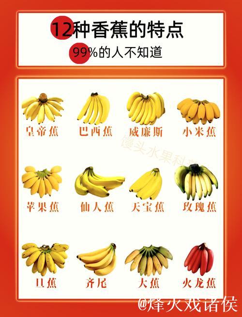 深度解析香蕉在线视频平台特色与内容优势 深度解析香蕉在线视频平台特色与内容优势