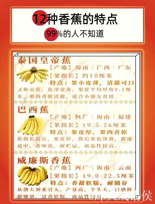 深度解析香蕉在线视频平台特色与内容优势 深度解析香蕉在线视频平台特色与内容优势